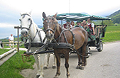 Kutschenfahrten in St.Wolfgang