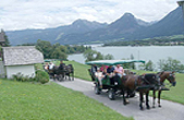 Kutschenfahrten in St.Wolfgang
