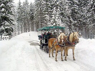 Kutschenfahrt im Winter ein besonderes Erlebnis