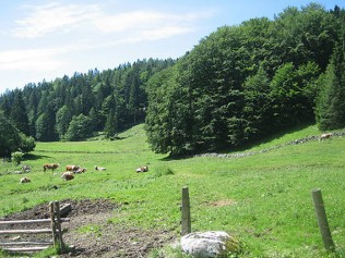 Lippenbauer Alm